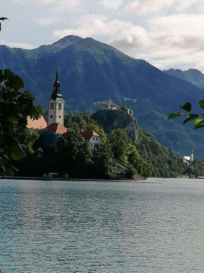 Hisa Vally Art Bled Exterior photo